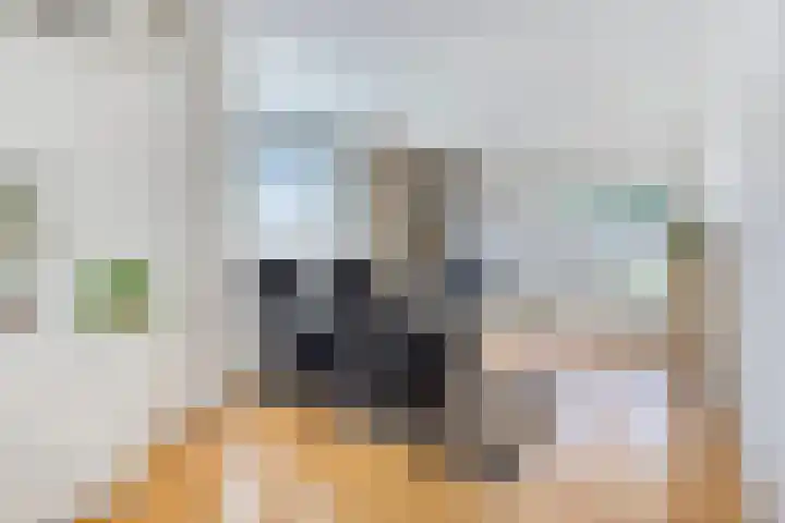 Doormanstraat 22 Borne thumbnail 4