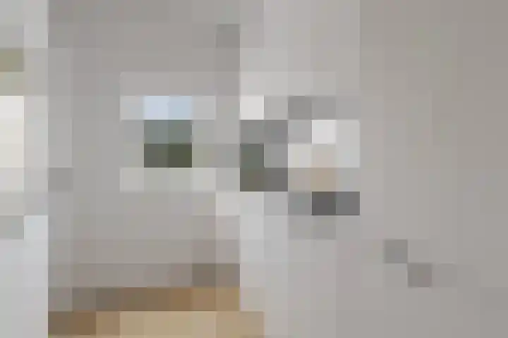 Doormanstraat 31 O5 Ommen thumbnail 4