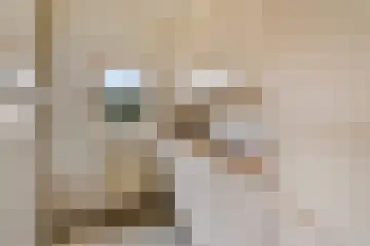 Doormanstraat 31 O5 Ommen thumbnail 5