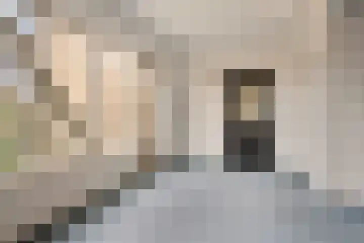 Doormanstraat 31 O5 Ommen thumbnail 8