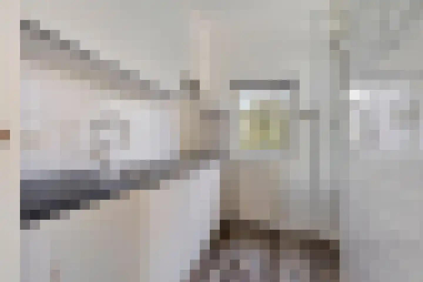 Doormanstraat 31 W5 Ommen thumbnail 16