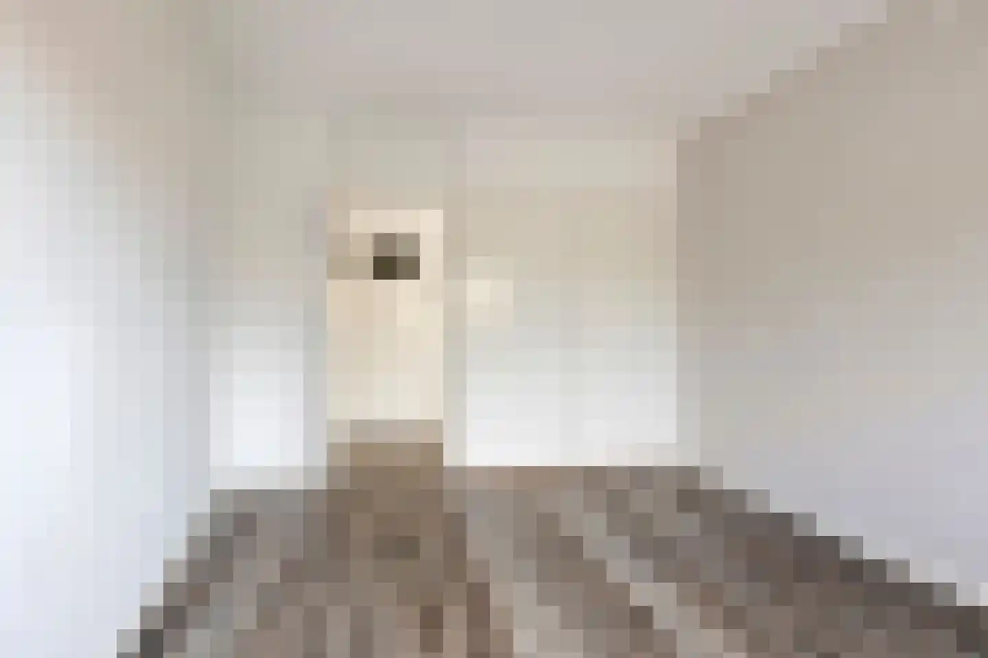 Doormanstraat 31 W5 Ommen thumbnail 20
