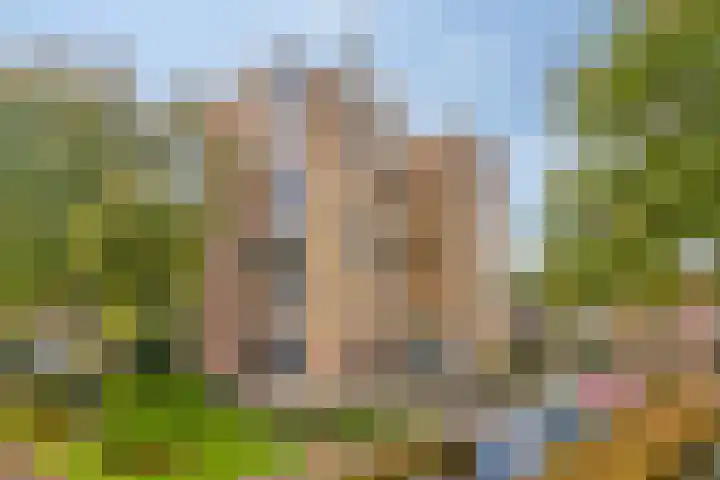 Doormanstraat 31 Z6 Ommen thumbnail 19