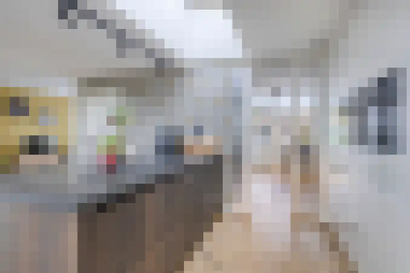 Doormanstraat 36 Drunen thumbnail 17