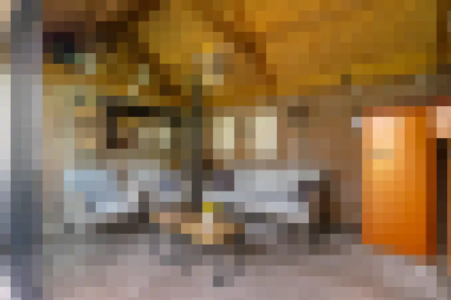 Doormanstraat 36 Drunen thumbnail 35