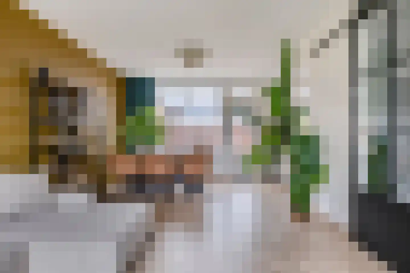 Doormanstraat 37 Koudekerke thumbnail 6
