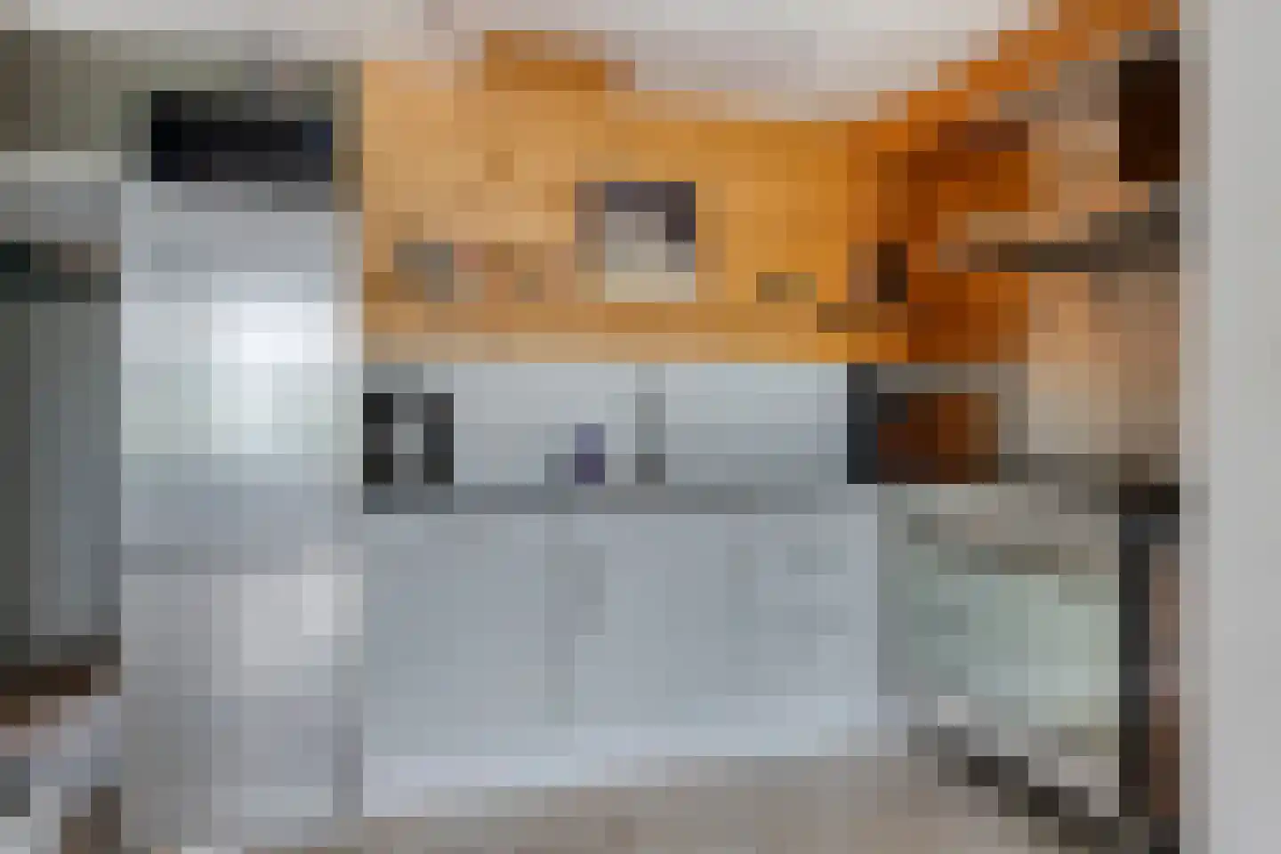 Doormanstraat 39 Capelle aan den IJssel thumbnail 13