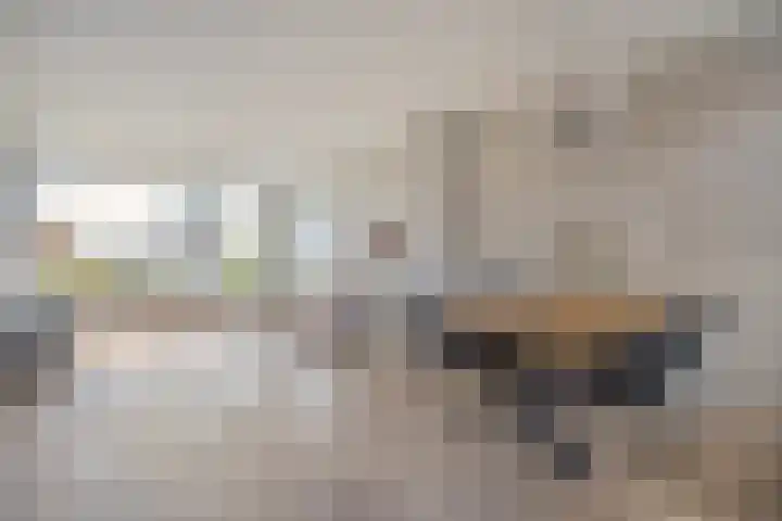 Doormanstraat 7 Ommen thumbnail 10