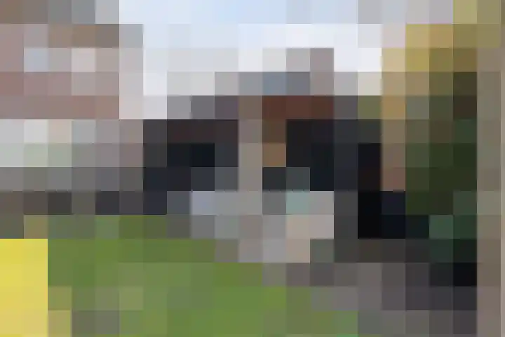 Doormanstraat 7 Ommen thumbnail 38