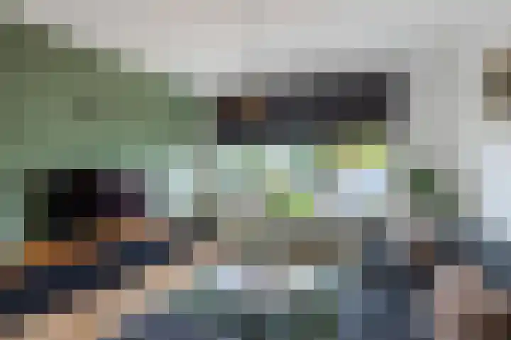 Doormanstraat 8 Maasdijk thumbnail 10