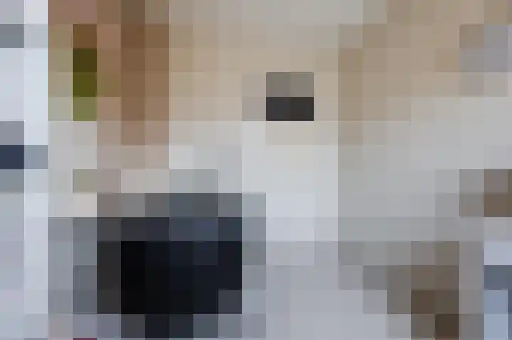 Doormanstraat 8 Maasdijk thumbnail 20