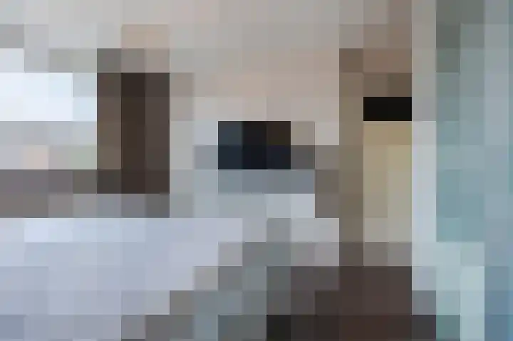 Doormanstraat 8 Maasdijk thumbnail 22