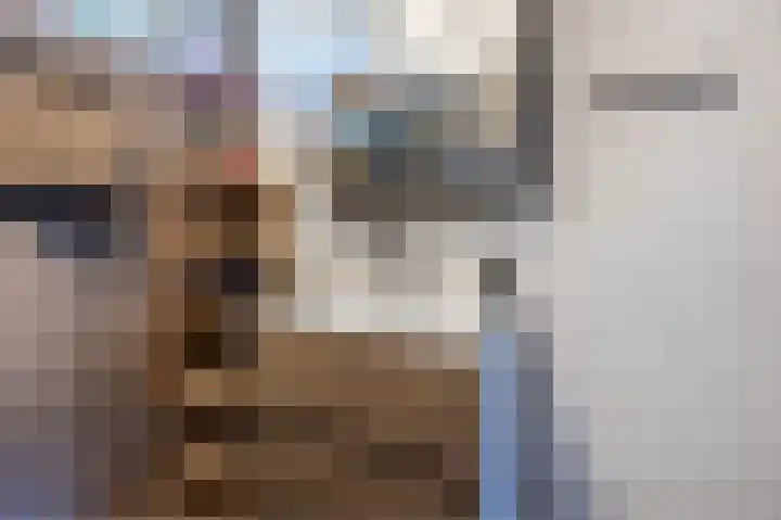 Doormanstraat 8 Maasdijk thumbnail 26