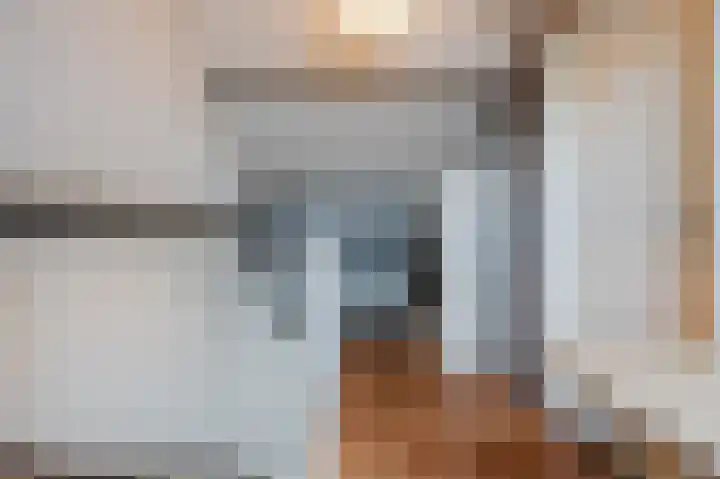 Doormanstraat 8 Maasdijk thumbnail 30