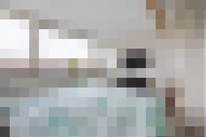 Doormanstraat 8 Maasdijk thumbnail 33