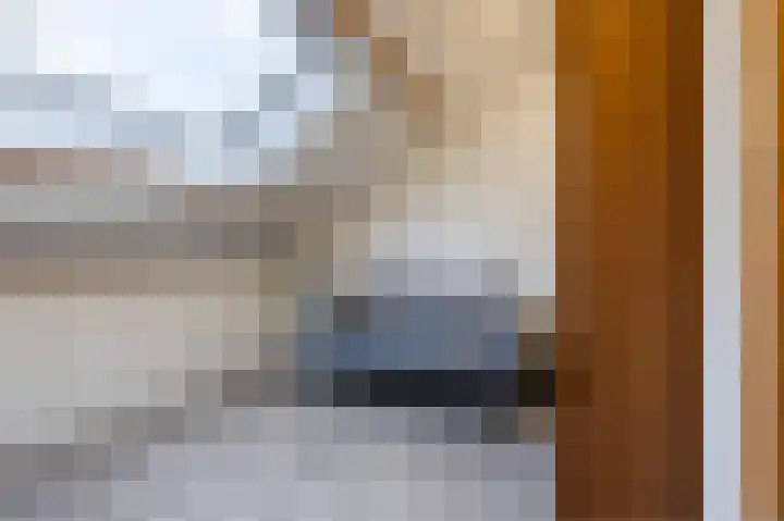Doormanstraat 8 Maasdijk thumbnail 34