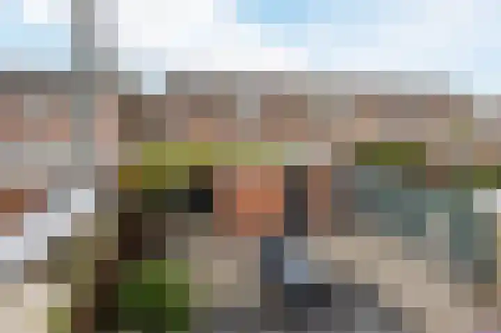 Doormanstraat 8 Maasdijk thumbnail 36