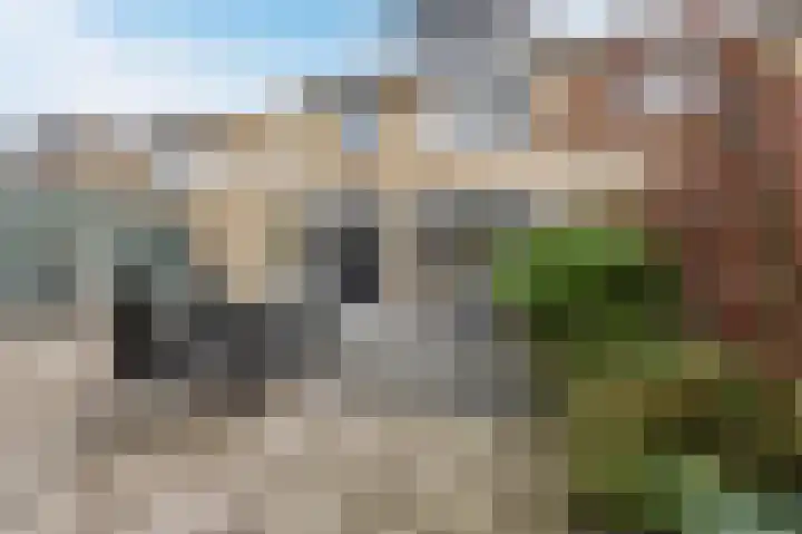 Doormanstraat 8 Maasdijk thumbnail 40