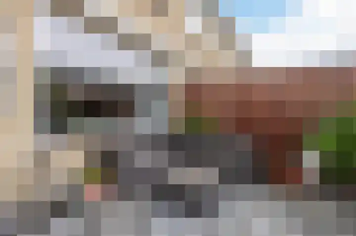 Doormanstraat 8 Maasdijk thumbnail 44