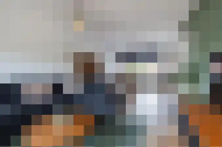 Doormanstraat 8 Maasdijk thumbnail 8