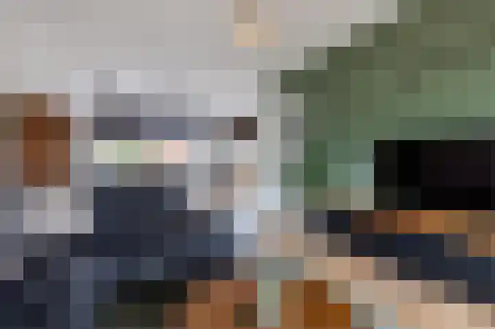 Doormanstraat 8 Maasdijk thumbnail 9