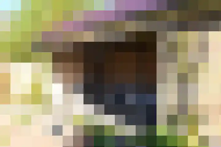 Doormanweg 10 Heel thumbnail 34