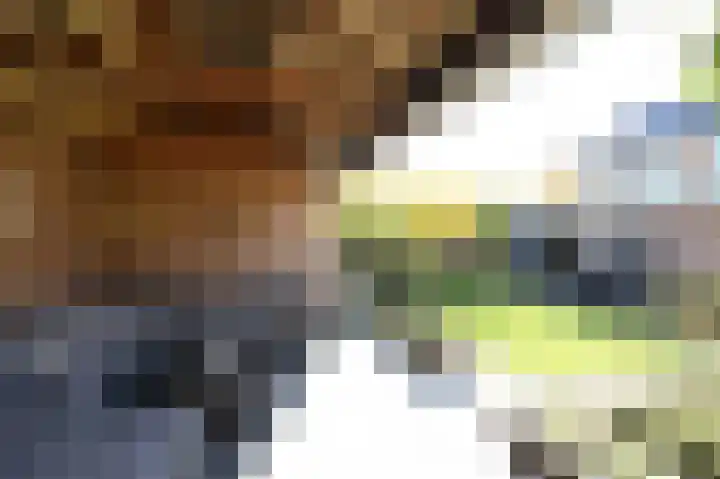 Doormanweg 10 Heel thumbnail 36