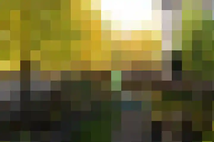 Doormanweg 10 Heel thumbnail 38