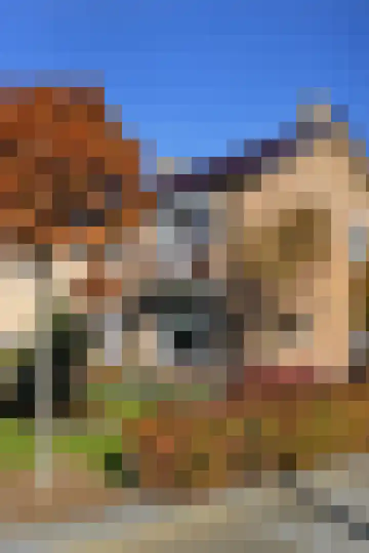 Doormanweg 10 Heel thumbnail 42