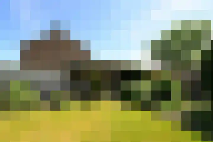 Doormanweg 20 Heel thumbnail 13