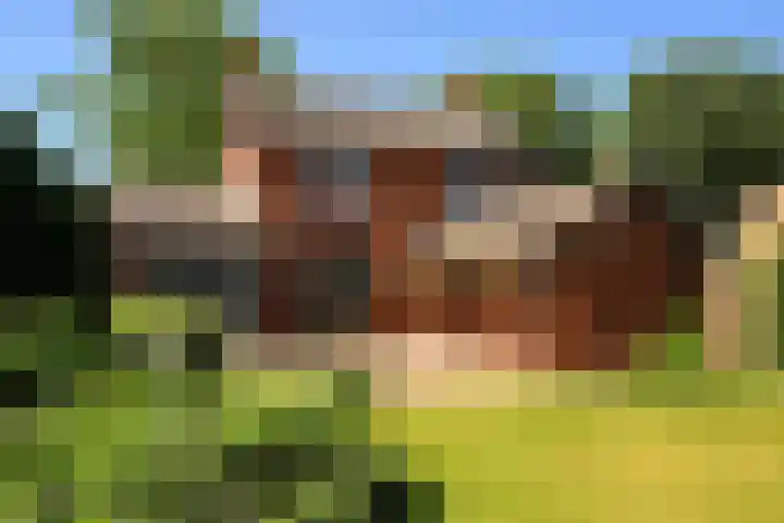 Doormanweg 20 Heel thumbnail 14