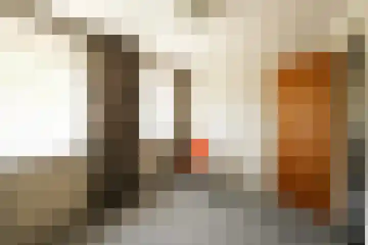 Doormanweg 20 Heel thumbnail 19