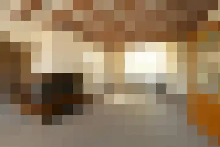 Doormanweg 20 Heel thumbnail 4