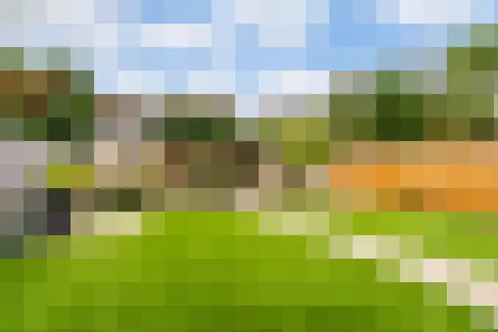 Doornakkerlaan 11 Boxtel thumbnail 21