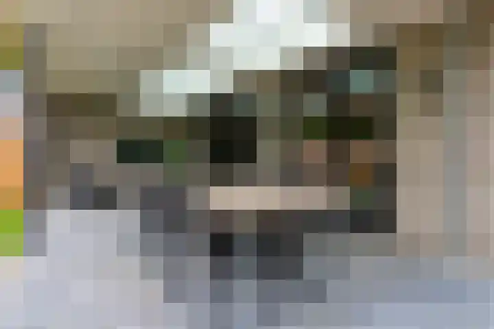 Doornakkerlaan 11 Boxtel thumbnail 23