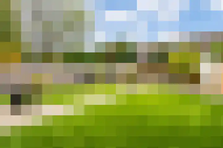 Doornakkerlaan 11 Boxtel thumbnail 24