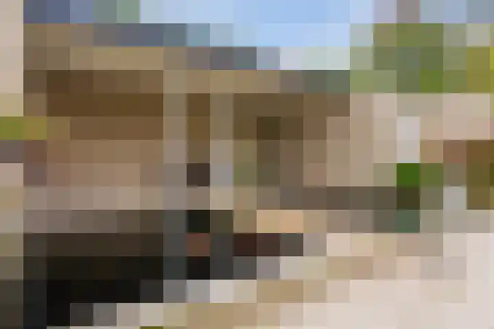 Doornakkerlaan 11 Boxtel thumbnail 25