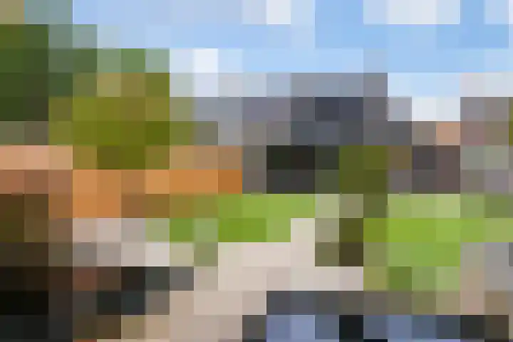 Doornakkerlaan 11 Boxtel thumbnail 26