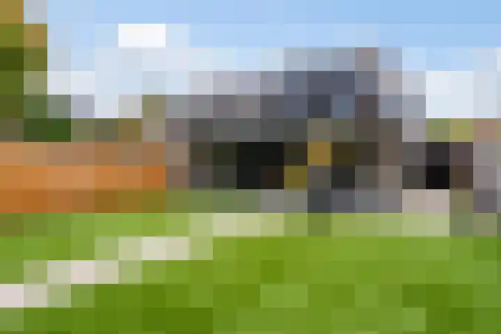 Doornakkerlaan 11 Boxtel thumbnail 27