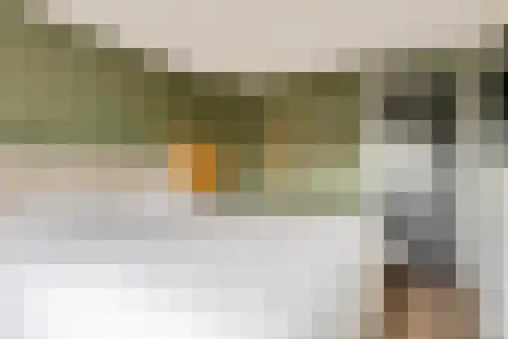 Doornakkerlaan 11 Boxtel thumbnail 30
