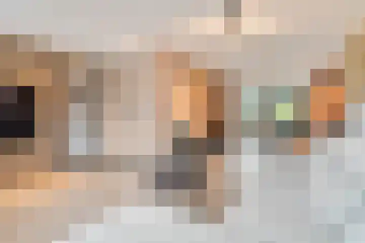 Doornakkerlaan 11 Boxtel thumbnail 4