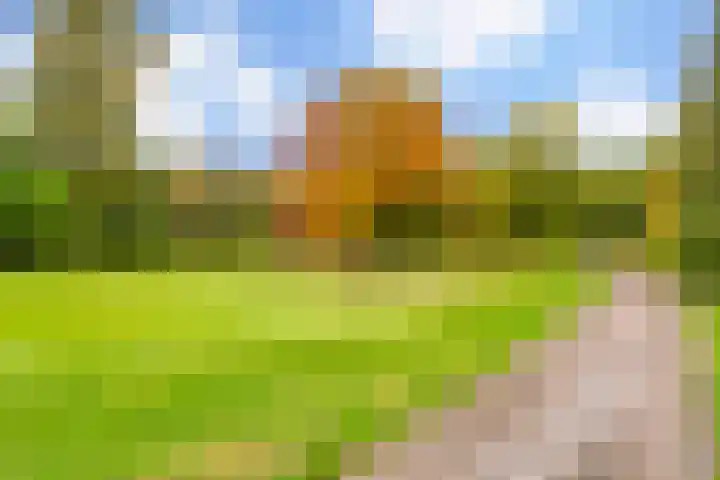 Doornakkerlaan 11 Boxtel thumbnail 47