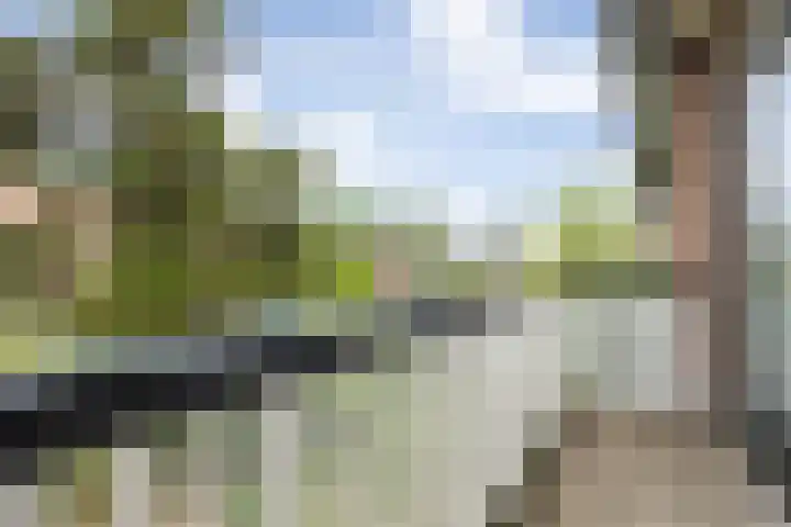 Doornakkerlaan 18 Boxtel thumbnail 37