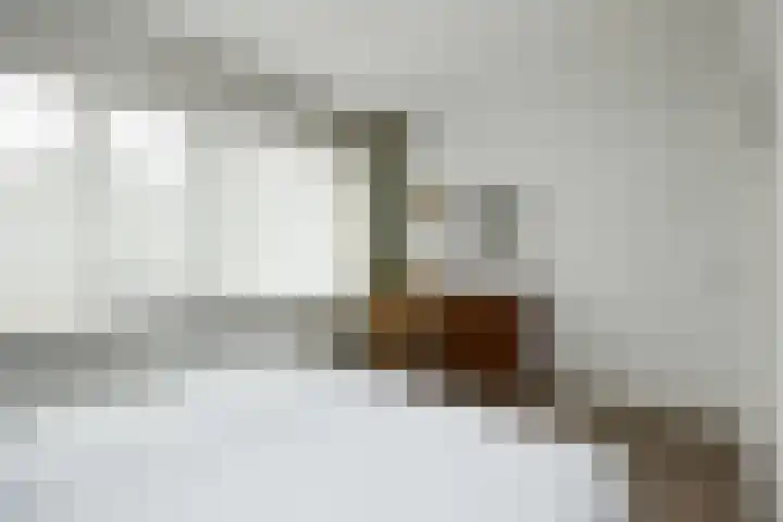 Doornakkerlaan 18 Boxtel thumbnail 43