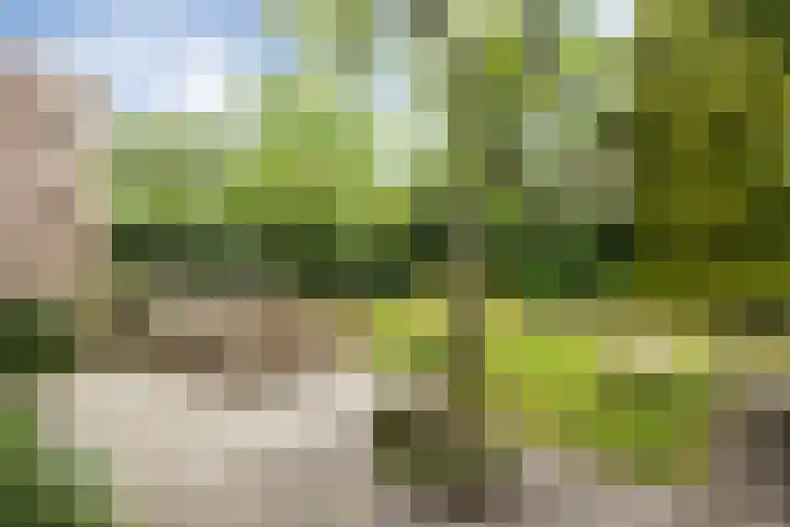 Doornakkerlaan 18 Boxtel thumbnail 52