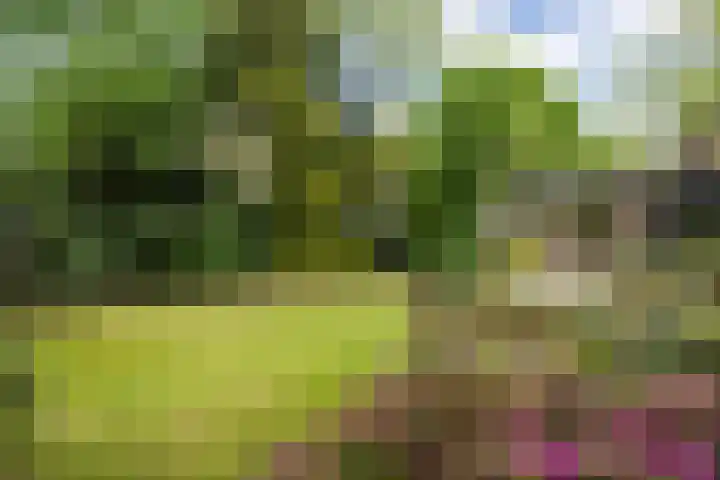 Doornakkerlaan 18 Boxtel thumbnail 53