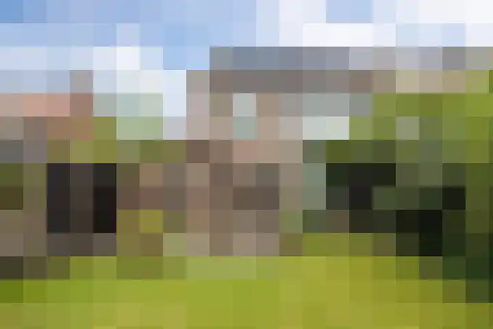 Doornakkerlaan 18 Boxtel thumbnail 55