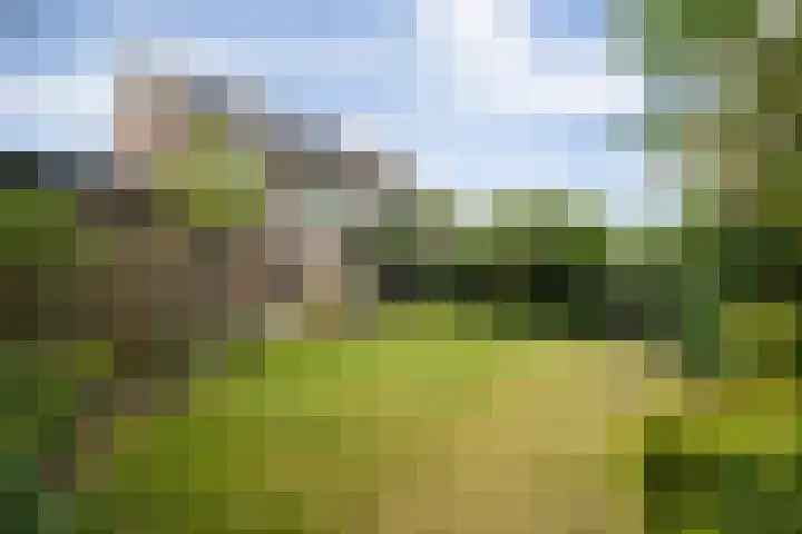Doornakkerlaan 18 Boxtel thumbnail 56