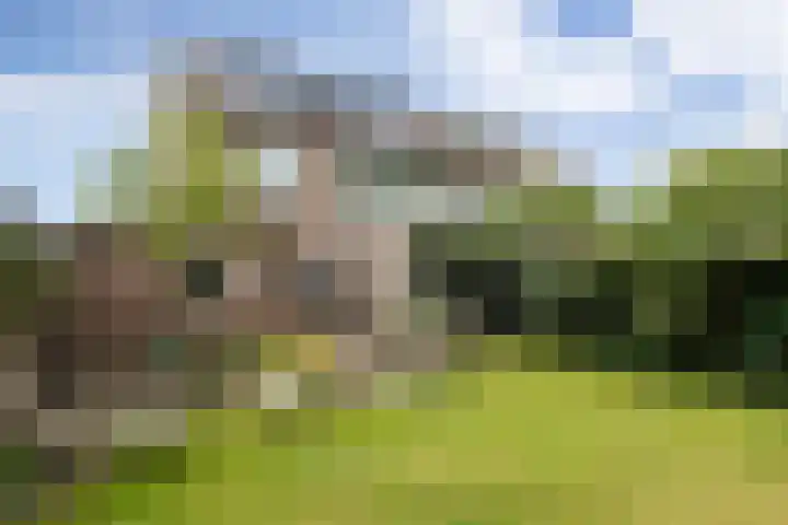 Doornakkerlaan 18 Boxtel thumbnail 57