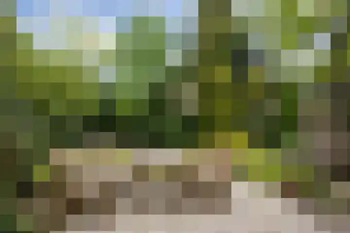 Doornakkerlaan 18 Boxtel thumbnail 59